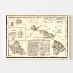 Vintage Map of Hawaii 1893