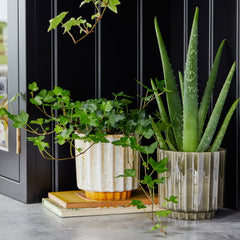Lugano Scalloped Reactive Planter | Mustard | 13cm